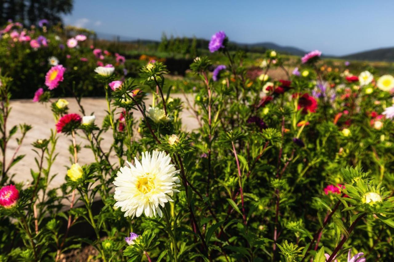 Parco vacanze Dworzysko